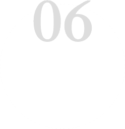 06